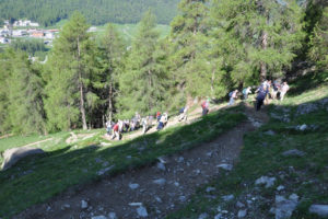 2013_wanderung-alp-languard